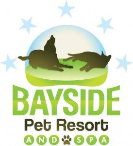 Bayside Pet Resort | Bradenton Dog